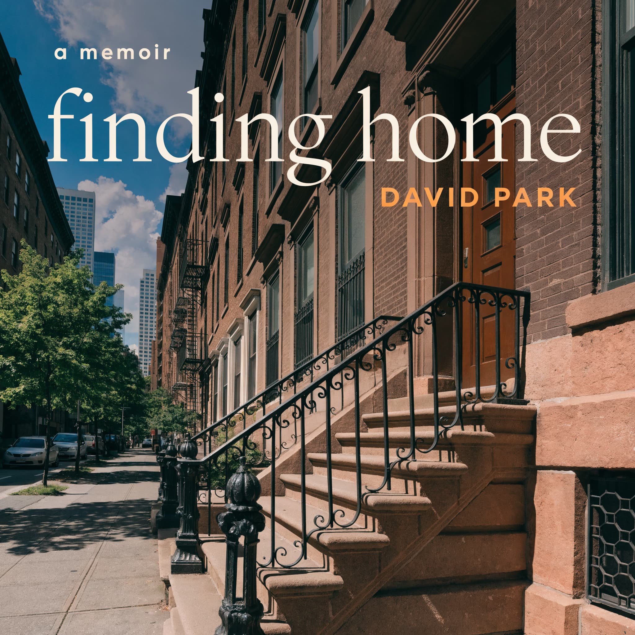 Finding Home by David Park